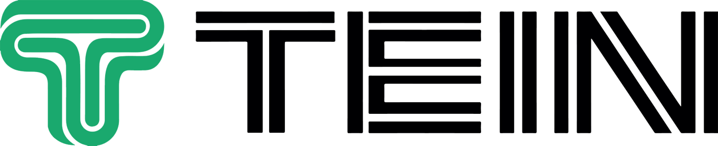 Tein 10+ Subaru Legacy 2.5GT (BM9) S. Tech Springs