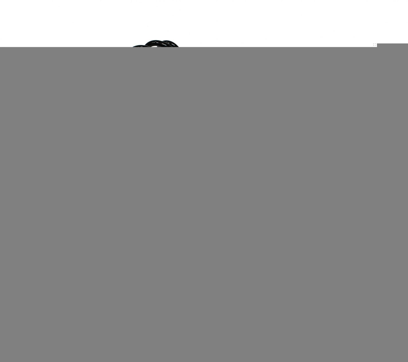 D2 Racing RS Coilovers 03-09 Mercedes Benz CLK RWD