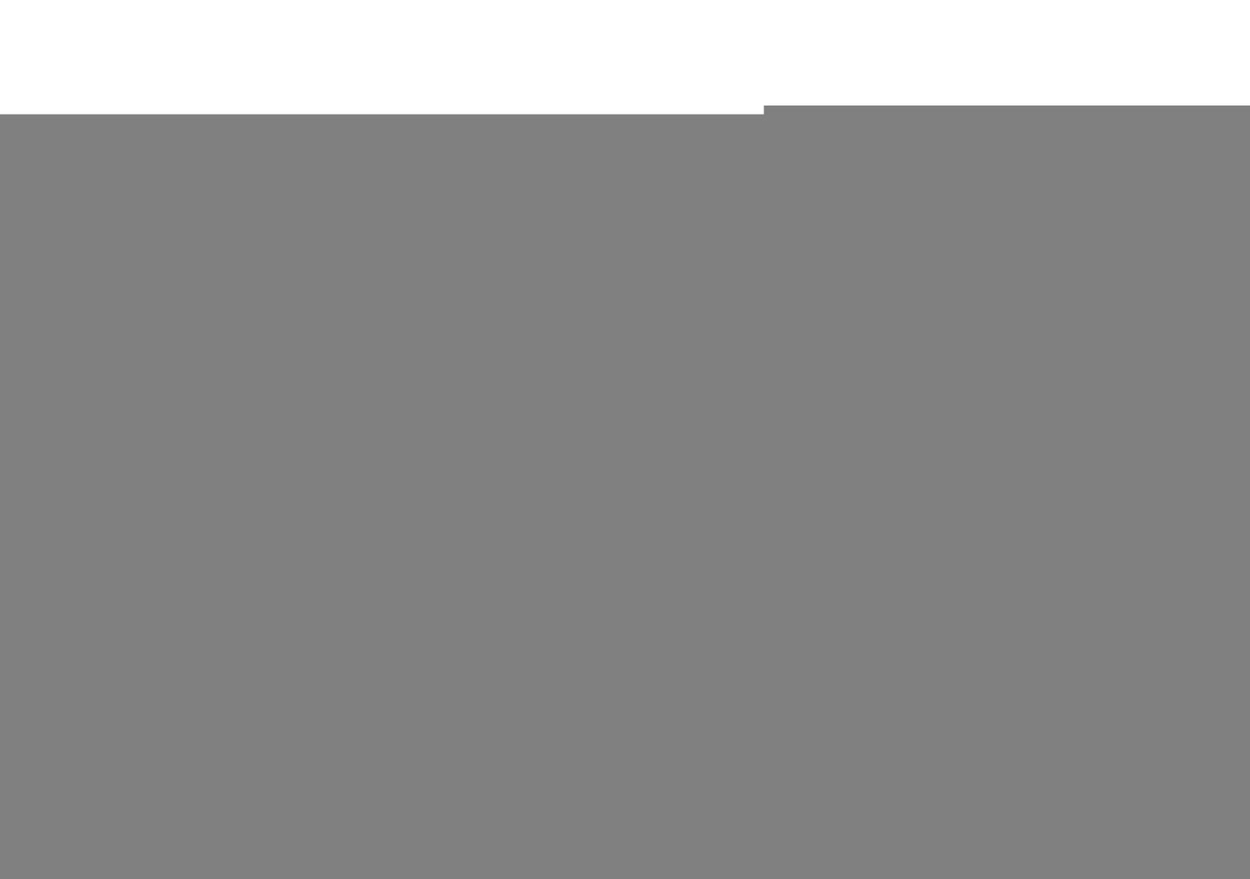 D2 Racing RS Coilovers 08-15 Mitsubishi EVO