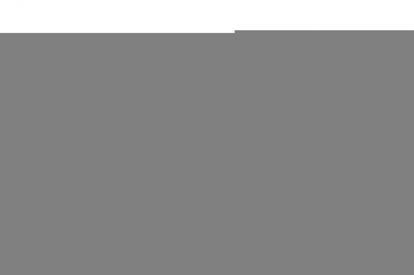 D2 Racing RS Coilovers 95-98 Nissan Skyline