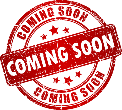 Invidia 2019+ Toyota Supra Gemini w/ Valve Rolled SS Tip Cat-back Exhaust