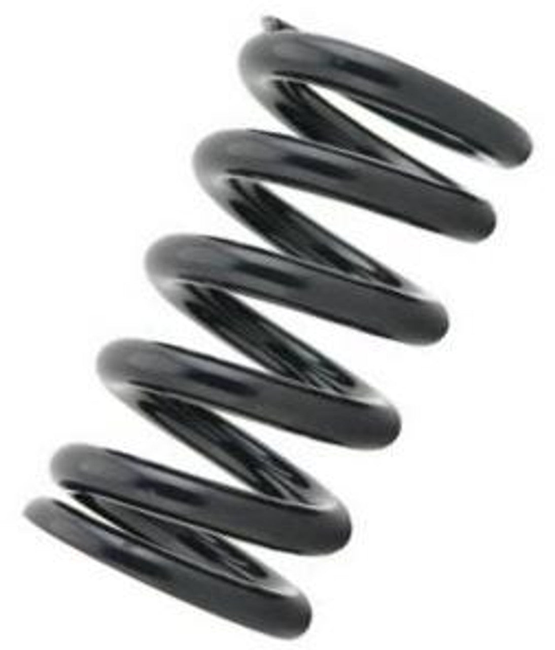 Tein Coilover Spring (Two Springs)