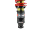 Skunk2 96-00 Honda Civic Pro-ST Coilovers (Front 10 kg/mm - Rear 10 kg/mm)