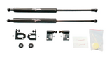GReddy 98-02 Nissan ER34 Skyline (Non GTR) Engine Hood Lifter Kit (Designed for OEM weight hoods.)