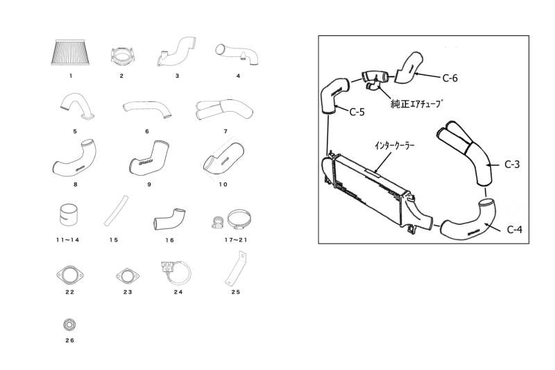 GReddy 95-02 Nissan Skyline GT-R BNR33/BNR34 V2 Complete Suction Kit